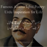 Student reading Famous Allama Iqbal Poetry for inspiration and personal growth.