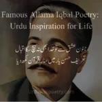 Student reading Famous Allama Iqbal Poetry for inspiration and personal growth.