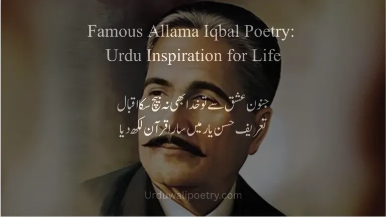 Student reading Famous Allama Iqbal Poetry for inspiration and personal growth.