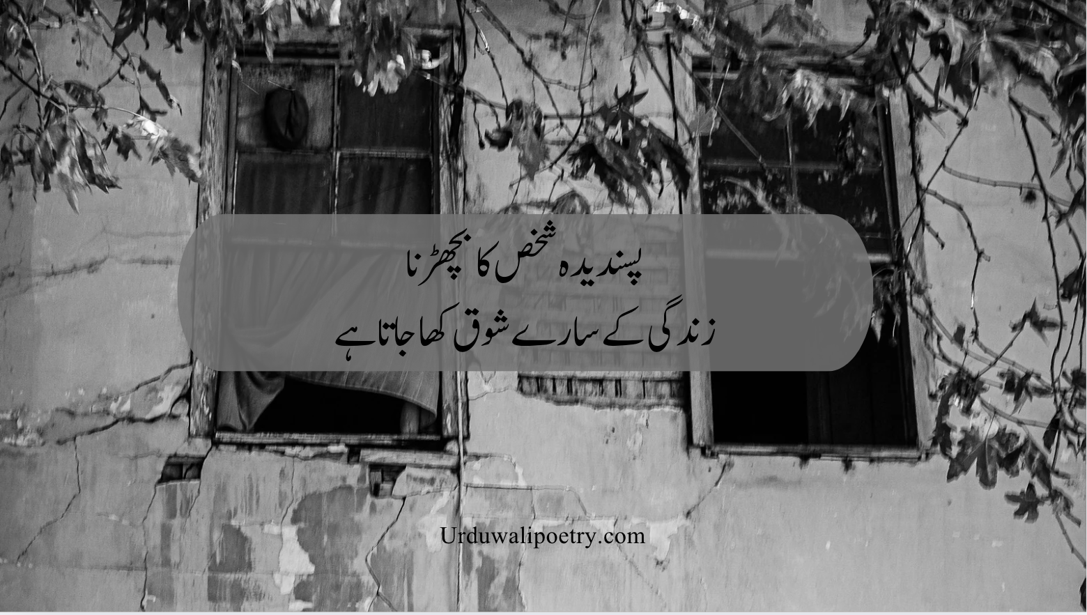 Deep Poetry in Urdu expressing silent pain and inner emotions