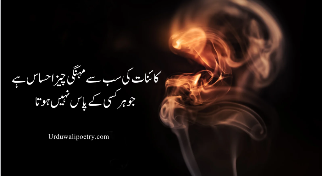 Tahzeeb Hafi 2 line poetry image capturing emotional and heartfelt words