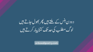 Top 20 Best Urdu Poetry Lines