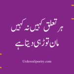 2 Line Urdu Poetry about silence and unspoken emotions