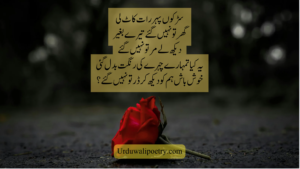4 Line Urdu Shayari Collection on Love & Longing