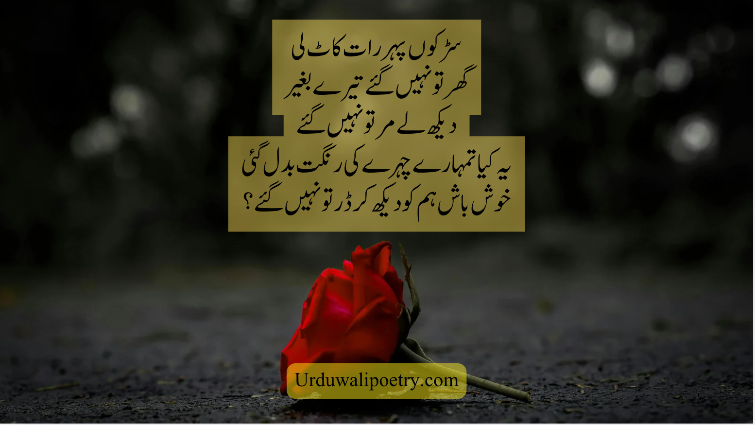 4 Line Urdu Shayari Collection on Love & Longing